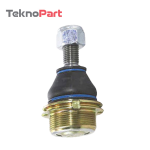 سیبک طبق دنا شرکتی